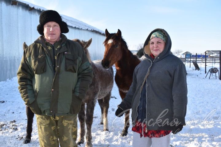Аксубаевская семья живет с мечтой о новой ферме