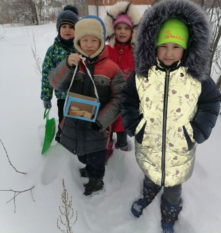 Аксубаевские юннаты кормят птиц зимой