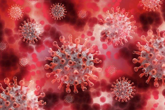 За прошедшие сутки в РТ выявлено 348 новых случаев заражения коронавирусом