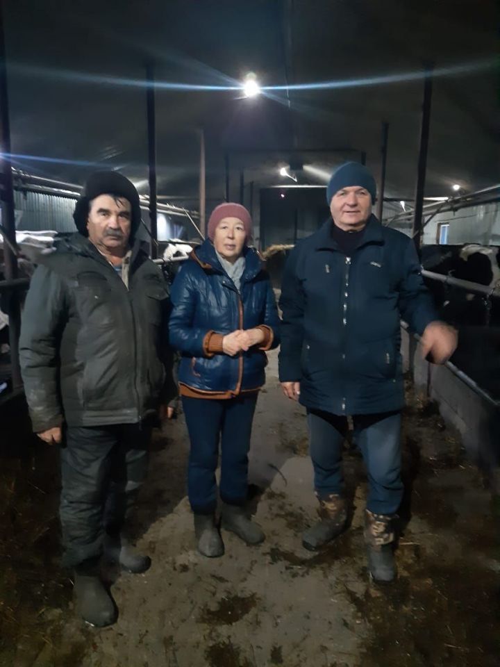 Для животноводства Аксубаевского района зимовка должна быть продуктивной