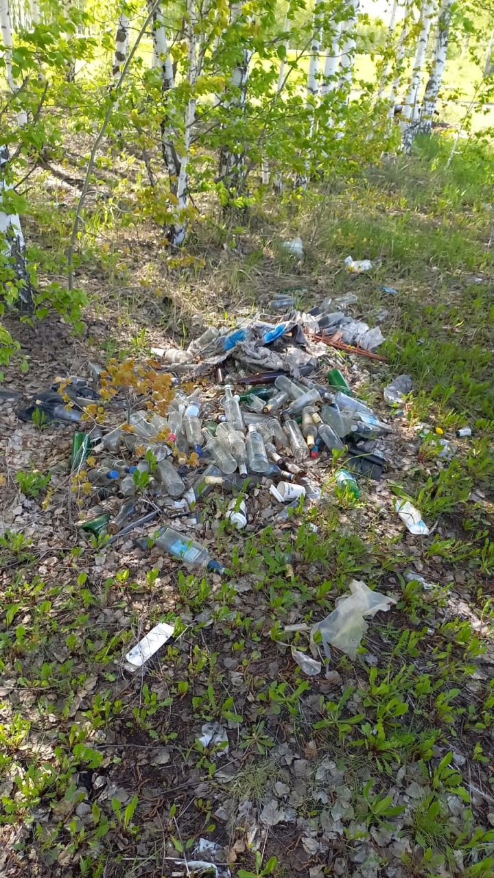 В Аксубаевском районе «чистоплотные люди» вывозят мусор в лесополосы
