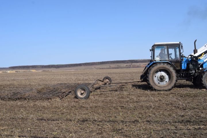 Аксубаевские земледельцы завершили подкормку многолетки и озимых