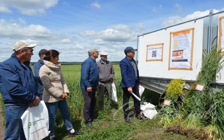 В Аксубаевском районе прошел семинар фермеров