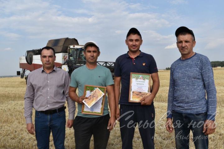 Аксубаевских земледельцев чествовали на хлебном поле