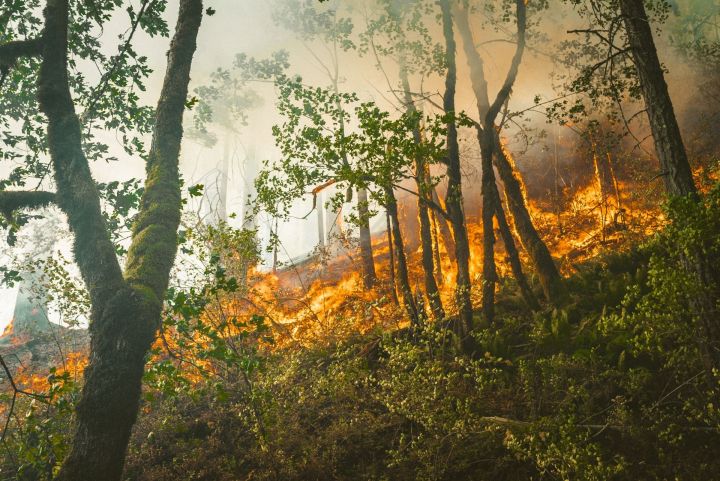 Гидрометцентр: Запах гари пришел в столицу Татарстана из-за лесных пожаров в соседних регионах