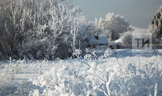 В республике в декабре среднемесячная температура ожидается ниже нормы