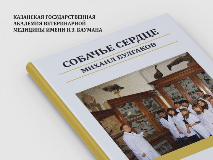 Рустам Минниханов опубликовал необычное поздравление татарстанцев с Днем студента