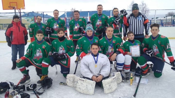 Аксубаевский «Барс» одержал победу в хоккейном турнире
