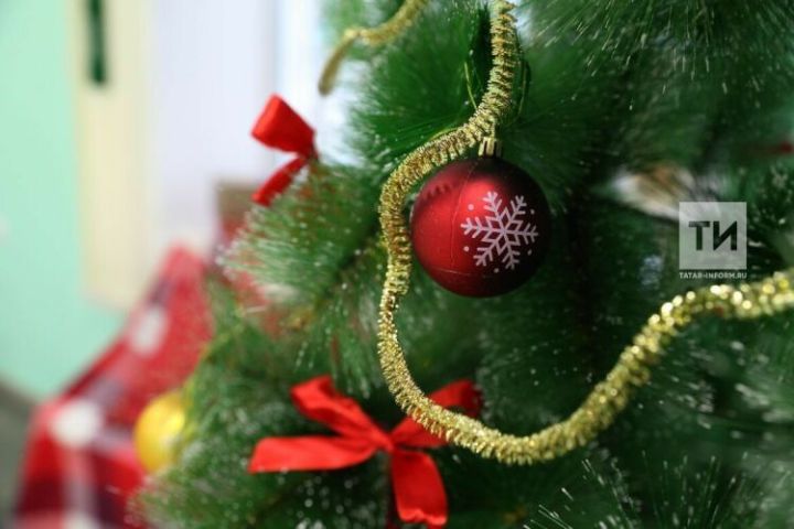 Живая елка будет долго стоять и не осыплется: как продлить жизнь новогодней красавице