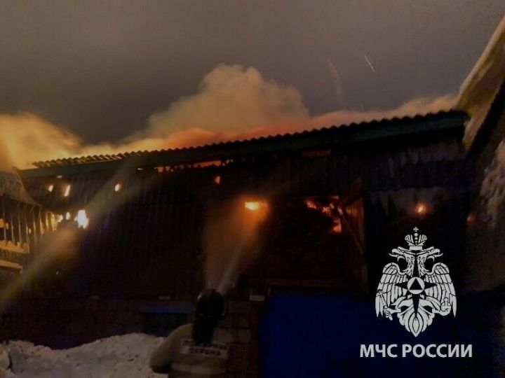 В Татарстане пожарные добровольцы спасли скот из ночного пожара