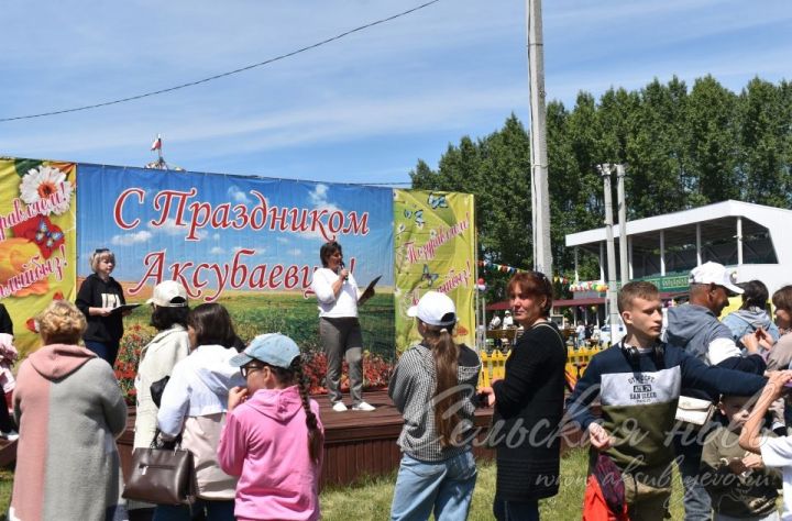 Аксубай Сабан туенда катнашучылар әдәбият дөньясына чумдылар