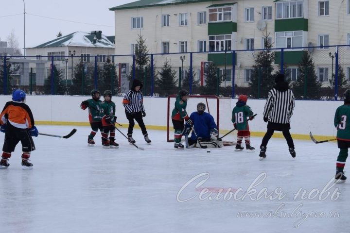 Аксубаевские спортсмены играли в хоккей на Рождественский праздник
