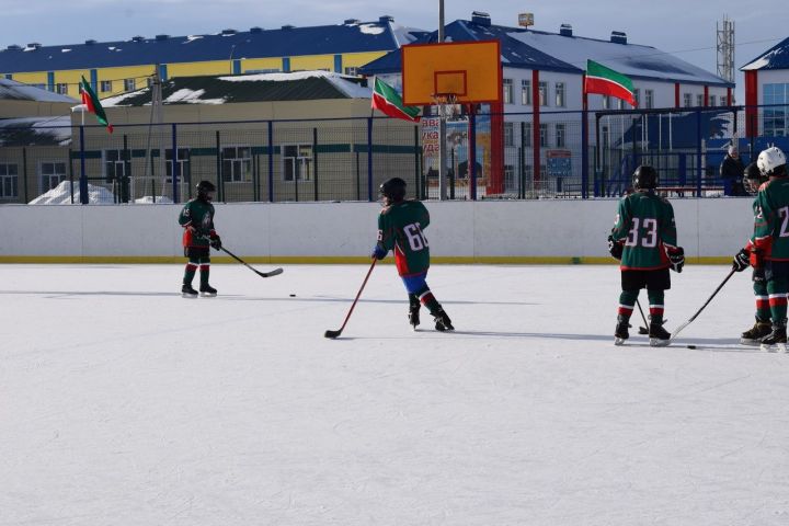 Хоккеисты из Аксубаевской школы №3 показали лучший результат