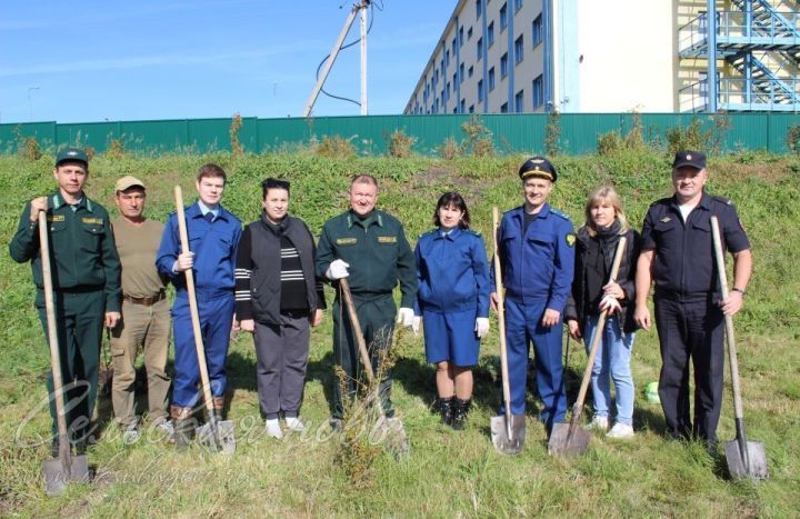 Аксубай прокуратурасы хезмәткәрләре “Хәтер бакчасы” акциясенә кушылды