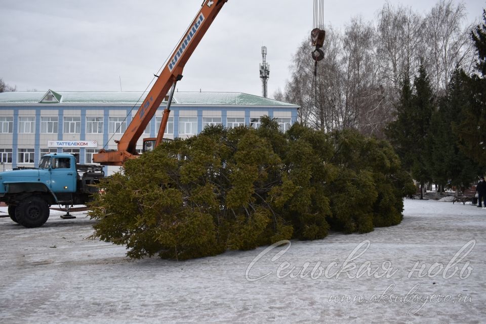 Аксубайда Яңа ел чыршысын бизиләр