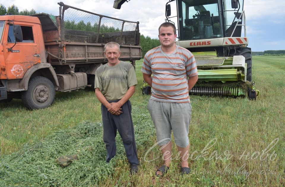 «Аксубай»да терлек азыгы әзерләү тоткарлыкларсыз бара