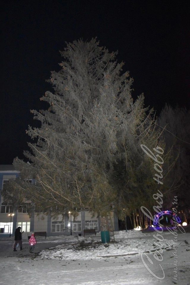 В Аксубаеве установили новогоднюю елку