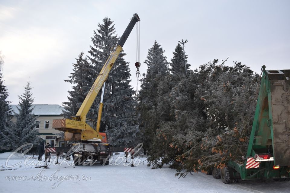 В Аксубаеве установили новогоднюю елку