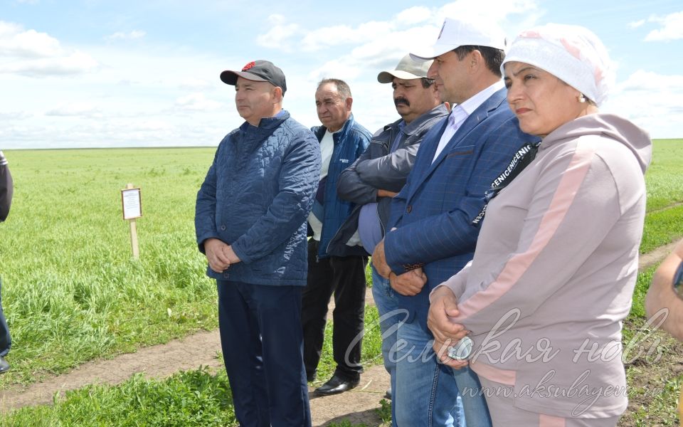 Аксубаевские фермеры обсудили вопросы растениеводства