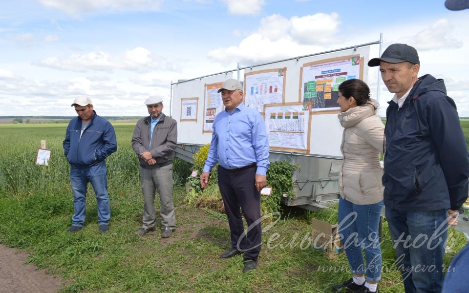 Аксубаевские фермеры обсудили вопросы растениеводства