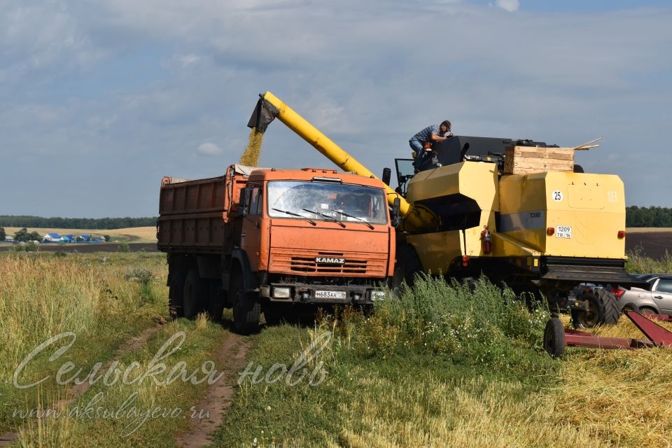 Земледельцы «Аксу Агро» первыми в районе приступили к уборке зерновых культур