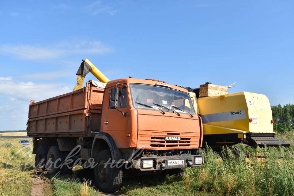 Земледельцы «Аксу Агро» первыми в районе приступили к уборке зерновых культур