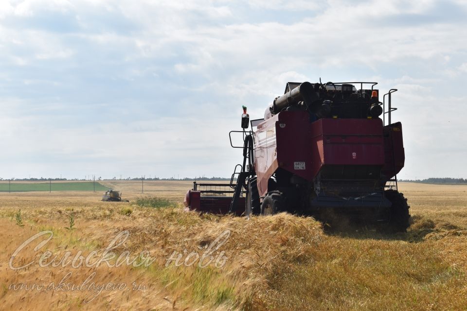 Земледельцы «Аксу Агро» первыми в районе приступили к уборке зерновых культур