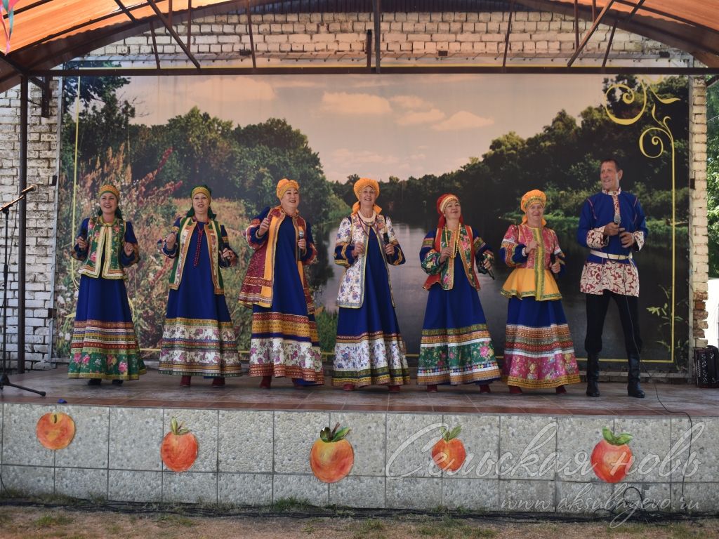 На Спасских гуляниях в Аксубаевском районе организовали фестиваль яблочного пирога