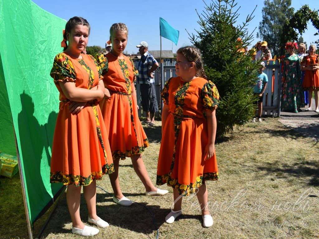 На Спасских гуляниях в Аксубаевском районе организовали фестиваль яблочного пирога