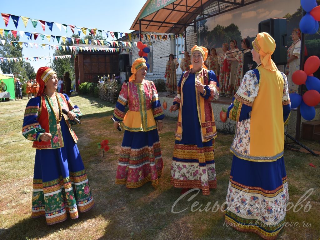 На Спасских гуляниях в Аксубаевском районе организовали фестиваль яблочного пирога