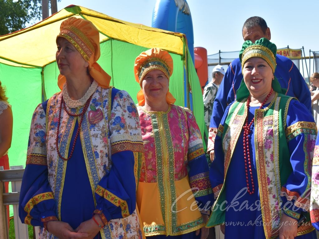 На Спасских гуляниях в Аксубаевском районе организовали фестиваль яблочного пирога