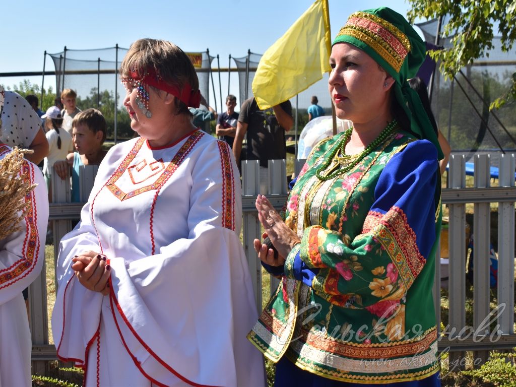 На Спасских гуляниях в Аксубаевском районе организовали фестиваль яблочного пирога