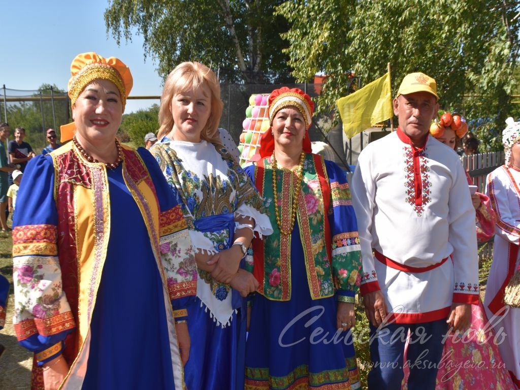 На Спасских гуляниях в Аксубаевском районе организовали фестиваль яблочного пирога