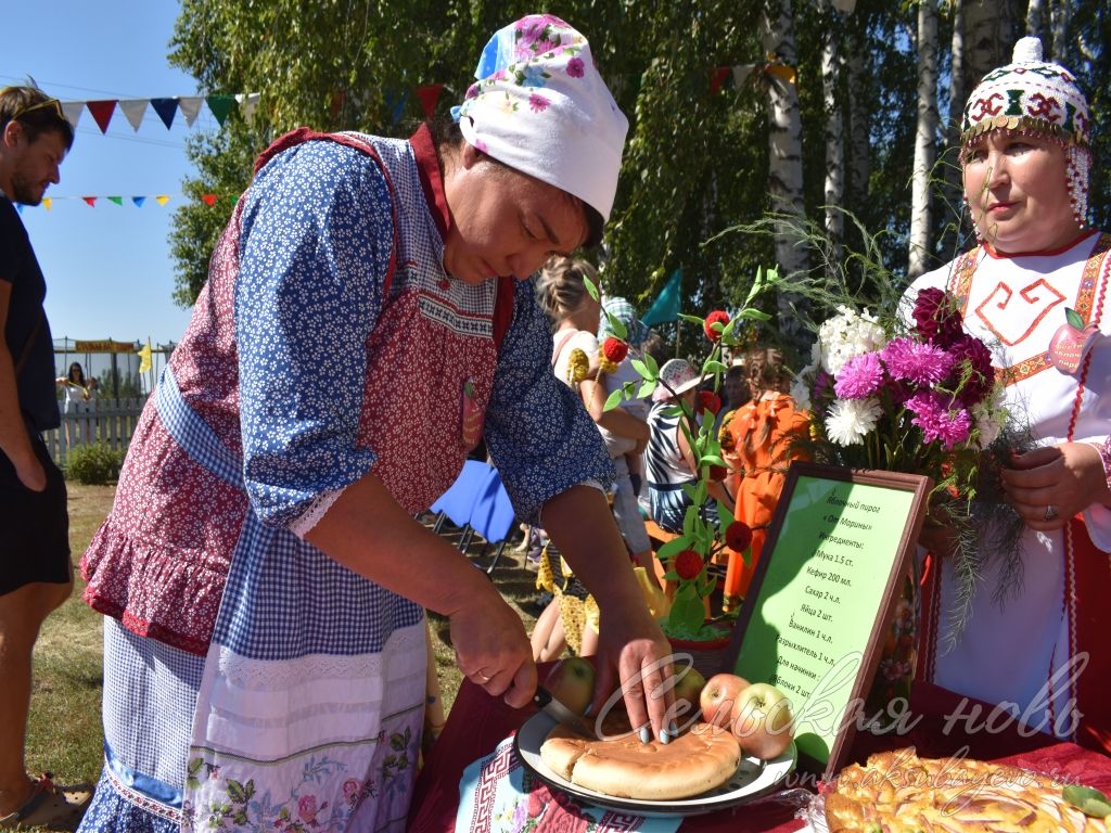 На Спасских гуляниях в Аксубаевском районе организовали фестиваль яблочного пирога