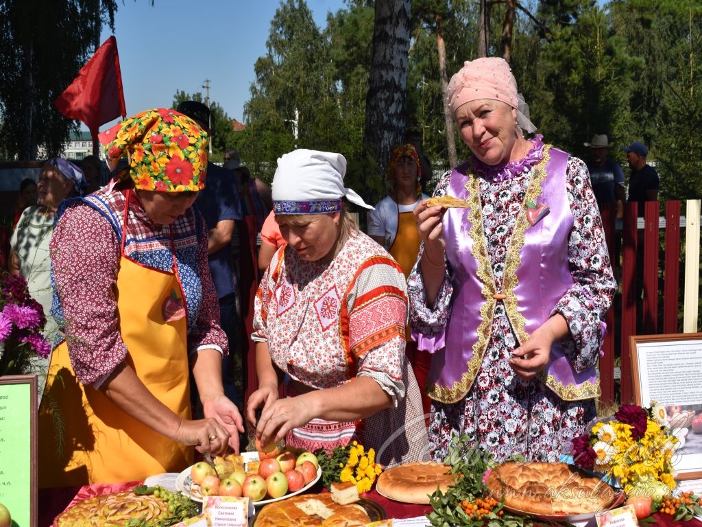 На Спасских гуляниях в Аксубаевском районе организовали фестиваль яблочного пирога