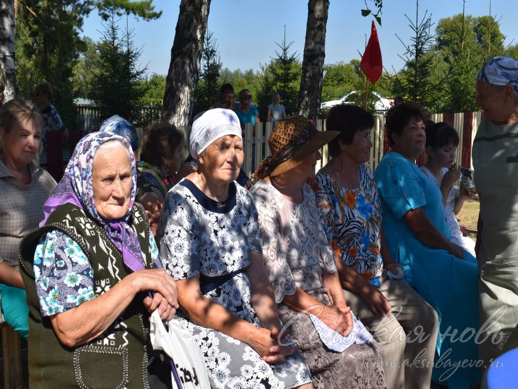 На Спасских гуляниях в Аксубаевском районе организовали фестиваль яблочного пирога