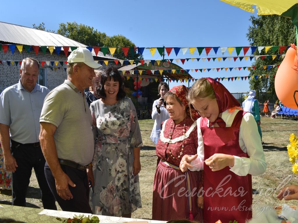 На Спасских гуляниях в Аксубаевском районе организовали фестиваль яблочного пирога