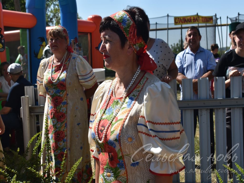 На Спасских гуляниях в Аксубаевском районе организовали фестиваль яблочного пирога