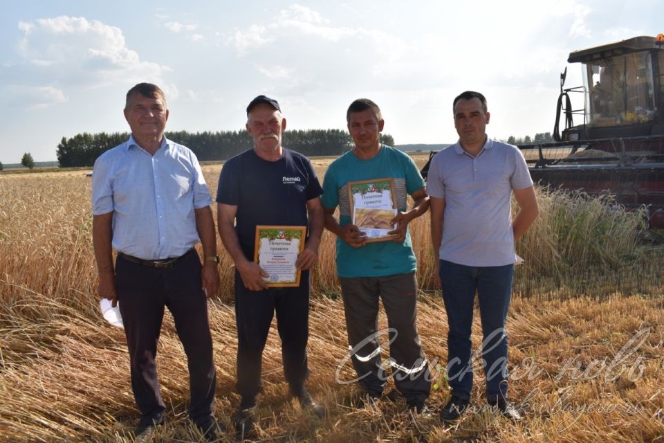 Лучшие на жатве получили награды