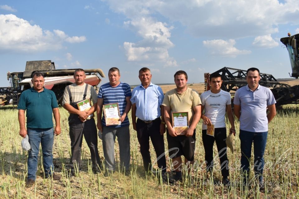 Лучшие на жатве получили награды