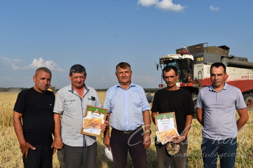 Лучшие на жатве получили награды