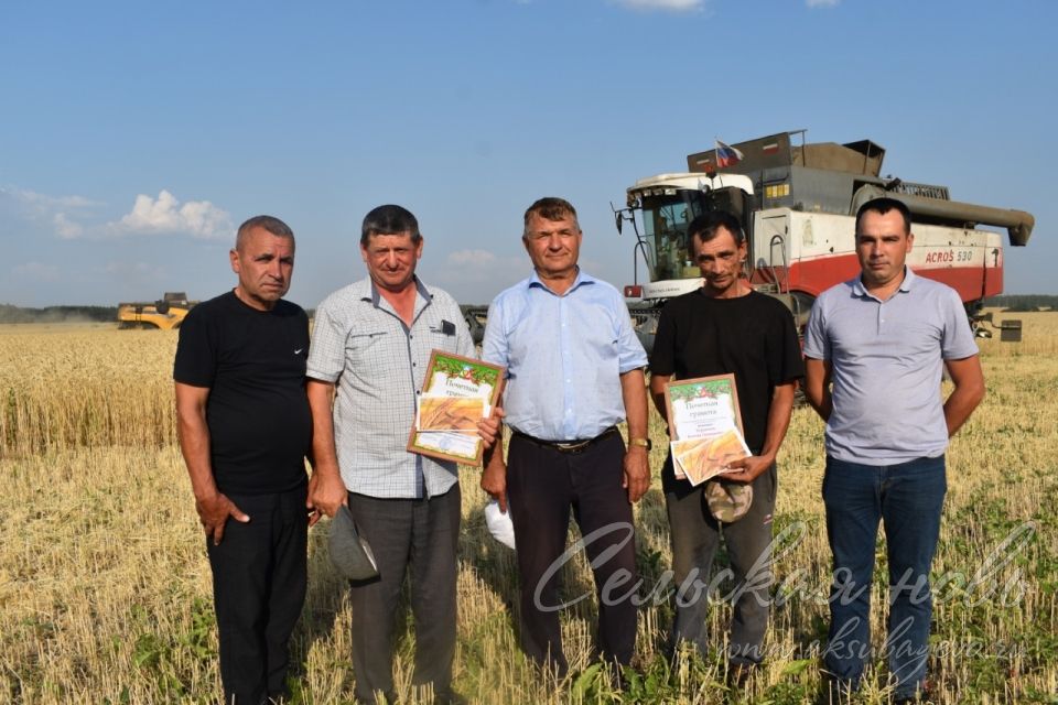 Лучшие на жатве получили награды