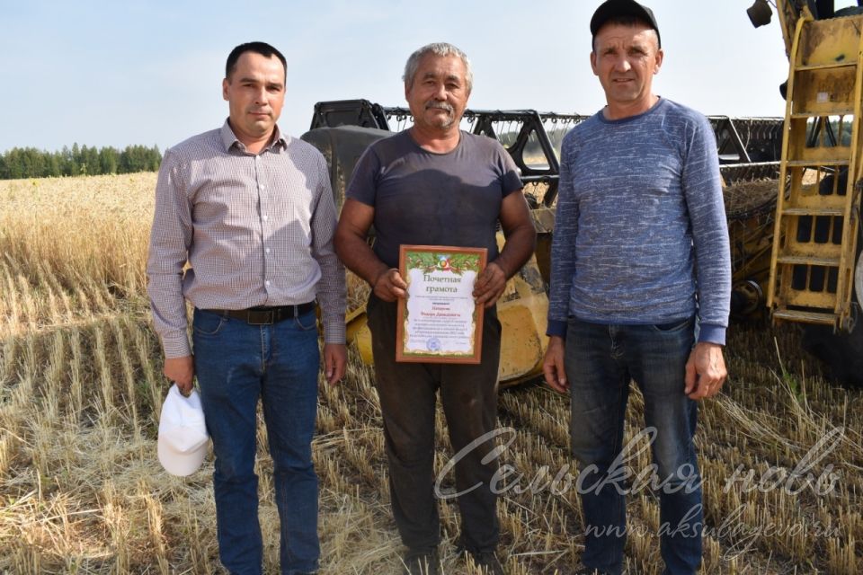 Аксубаевских земледельцев чествовали на хлебном поле