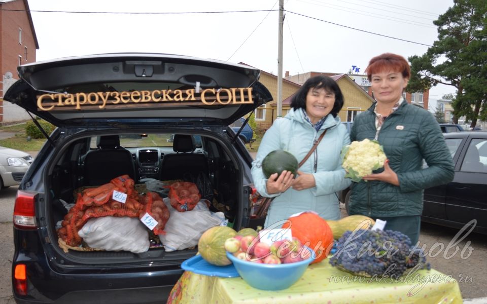 В Аксубаеве прошла первая осенняя сельхозярмарка