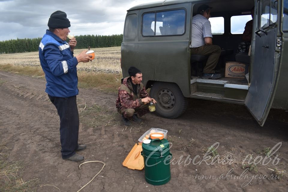 Осенняя посевная в Аксубаевском районе: работа спорится