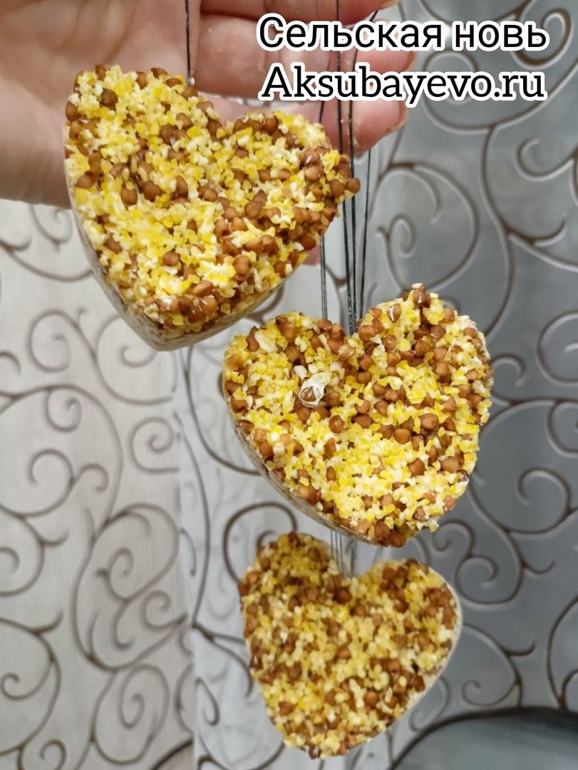 Кышын кошларны ашатыгыз