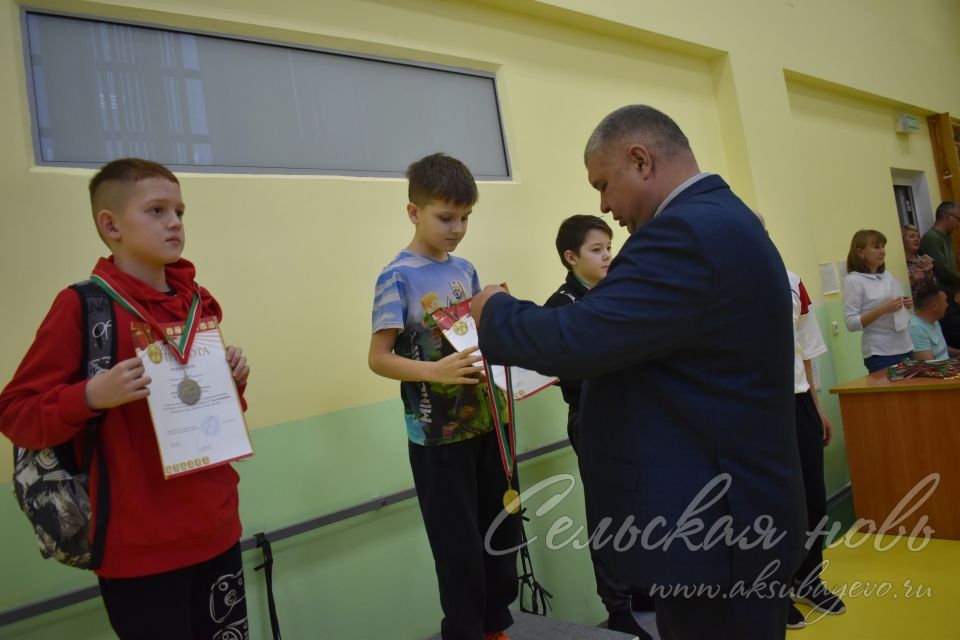 Аксубаевские пловцы завоевали золотые медали