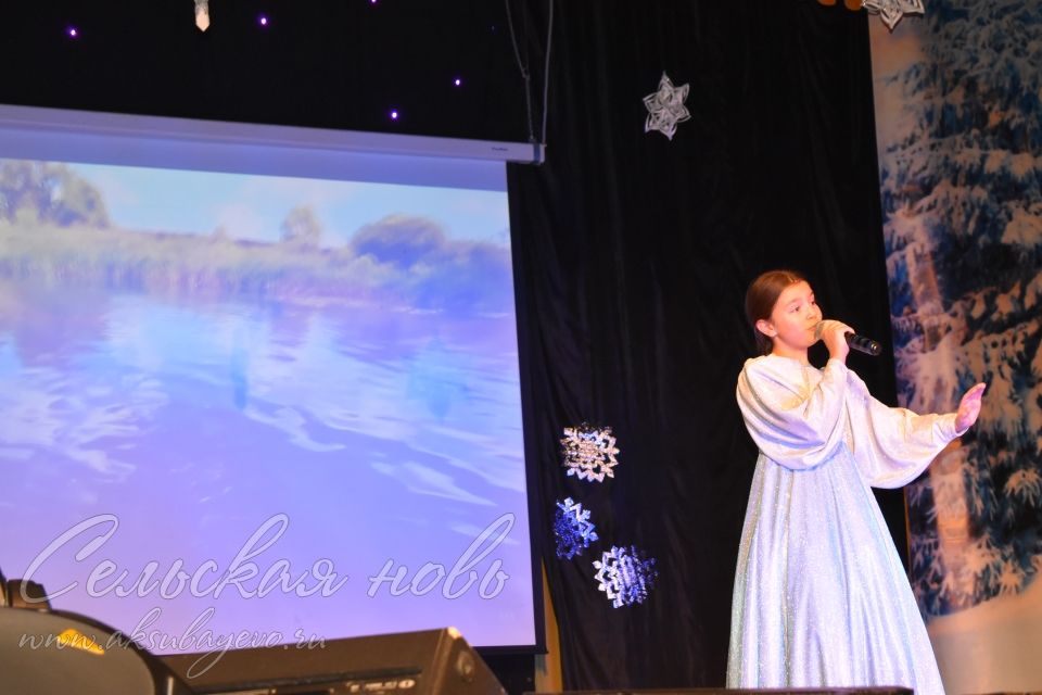 В Аксубаеве защитникам Отечества посвятили благотворительный концерт