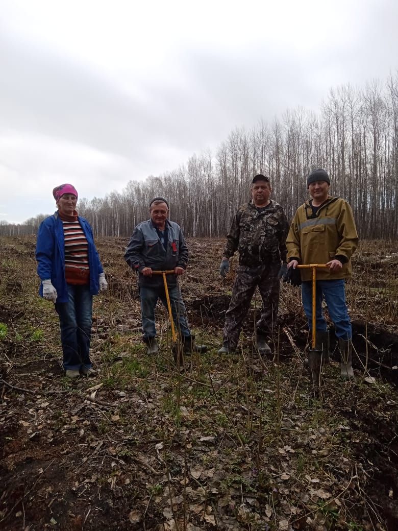 Аксубаевские лесоводы в «киреметском» лесу создали сад памяти