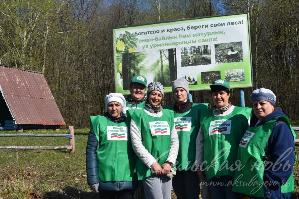 Аксубаевцы поддержали акцию по очистке леса